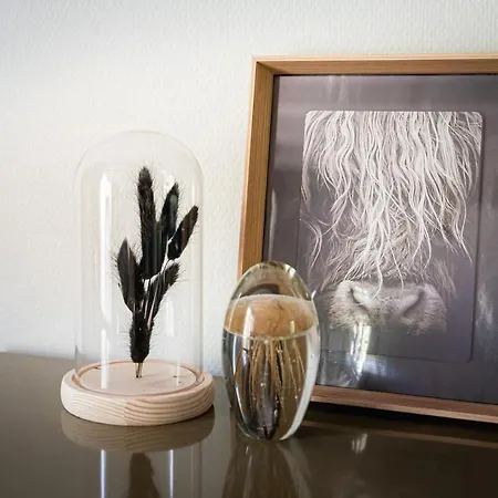 펜션 Vacation Magnolia Veluwe 넌스피트