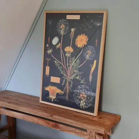 Vacation Magnolia Veluwe 펜션