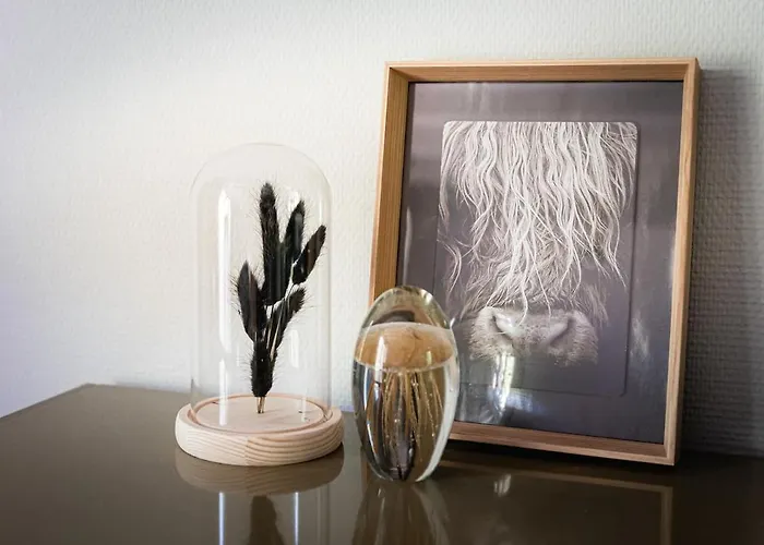 Semesterbostad Vacation Magnolia Veluwe Nunspeet