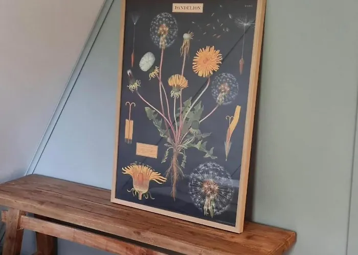 Vacation Magnolia Veluwe Semesterbostad