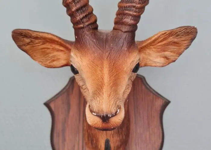 Vacation Magnolia Veluwe * Nunspeet