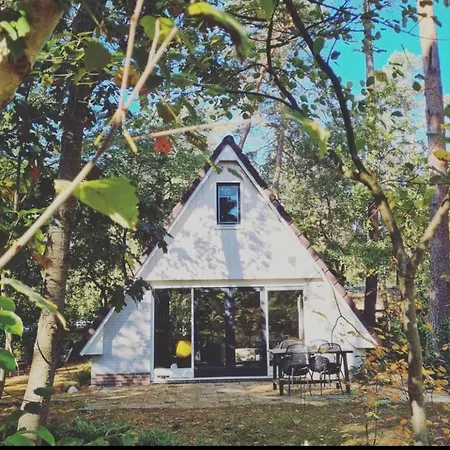 펜션 Vacation Magnolia Veluwe 넌스피트