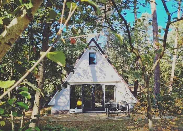 펜션 Vacation Magnolia Veluwe 넌스피트